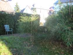 Bochum Ferienwohnung Wattenscheid-H�ntrop: Garten